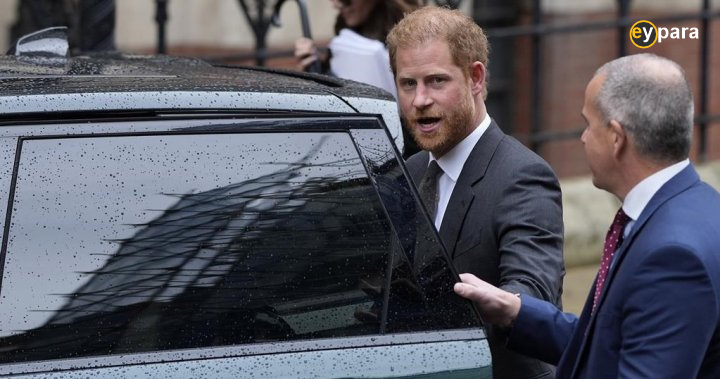 Prince Harry loses court challenge over U.K. security protection