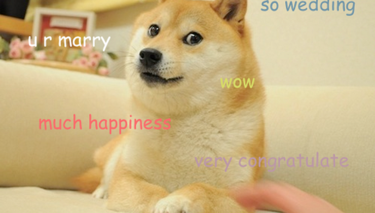 Dogecoin Pup’s IP Owner Bags Rights to Neiro, Putting Namesake Memes in Focus